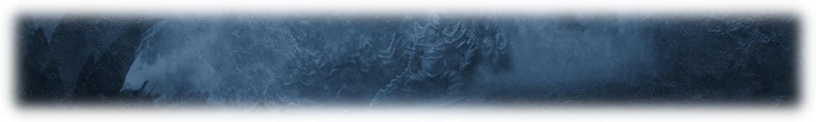 Website Bottom Banner